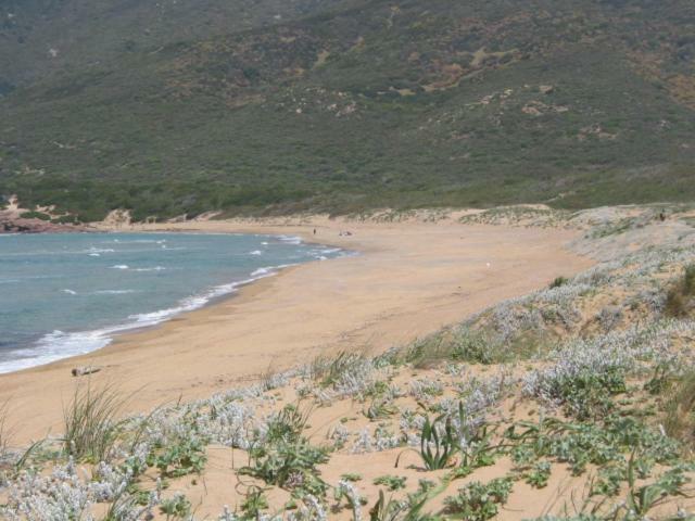 Alghero, Casa Di Roberto 外观 照片