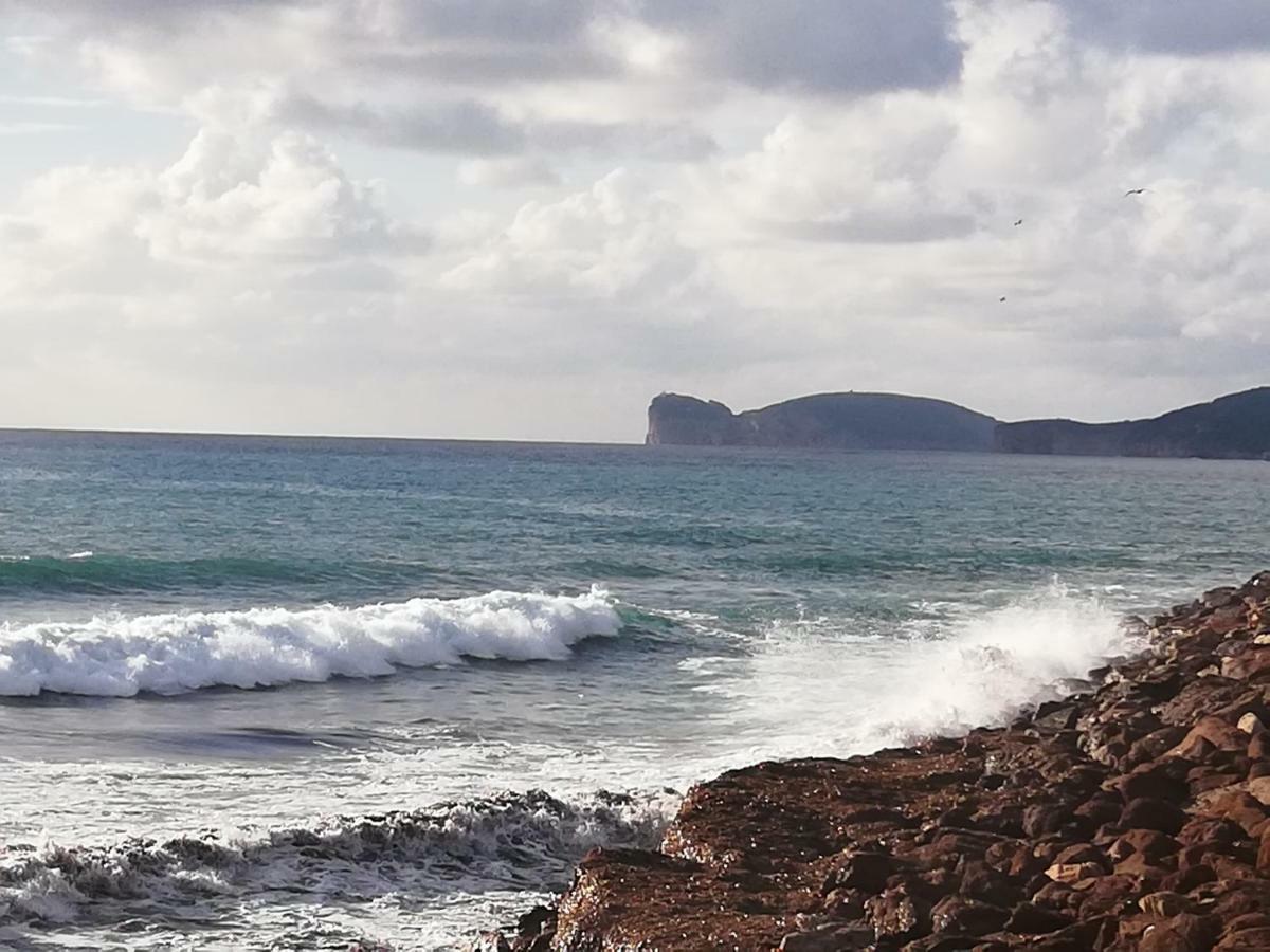 Alghero, Casa Di Roberto 外观 照片